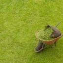 Jak pečovat o trávník?