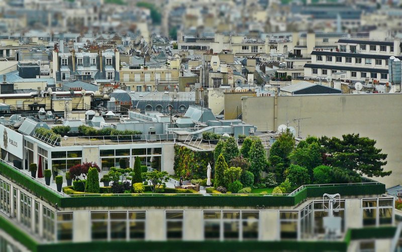 Zelená zahrada na střeše - ideální místo ke klidnému odpočinku