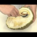 Exotické ovoce -- durian - video