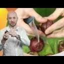 Exotické ovoce - mangostan - video