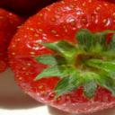 strawberry-1421449-m.jpg