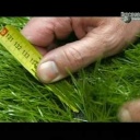  Umělý Trávník - video