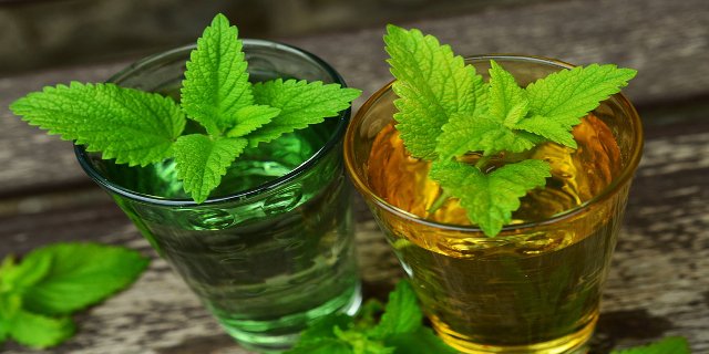 detoxikace, zdraví, bylinky, jarní očistná kúra, čaj, zeleninové šťávy