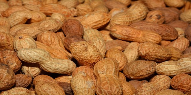 arašídy, nesolené arašídy, zdraví, výživa mozku, cholesterol