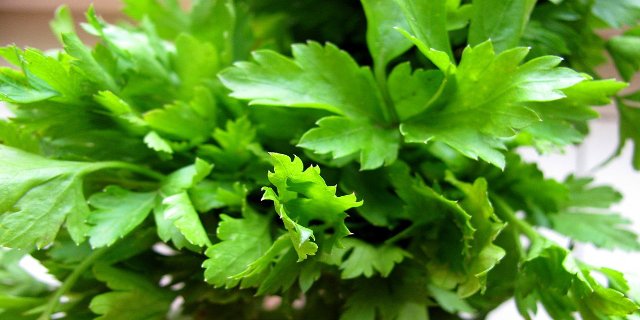 petržel, zdraví, zelenina, minerály, vitaminy