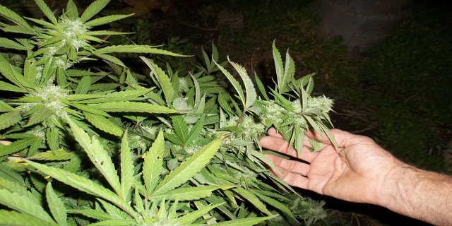 děti, drogy, závislosti, marihuana, kokain, cigarety, alkohol