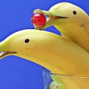 delfin-bananas-1737836_960_720.jpg