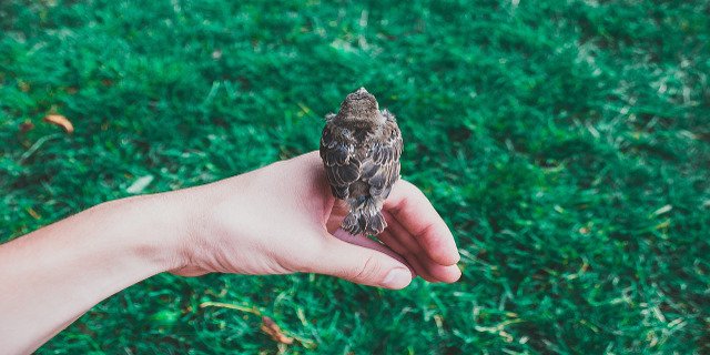 Pomoc, moje dítě se vzteká, nechce samo usínat a ráno se brzy budí!