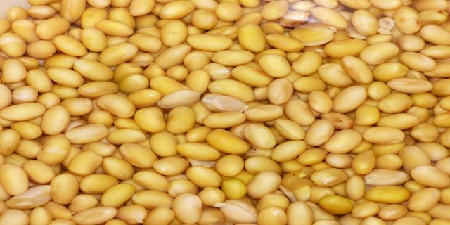 puberta, předpuberta, zdraví, děti, pohlavní zrání, hormony, léčba, endokrinologie