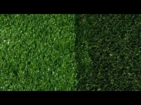 Jak se tvoří trávník? - video