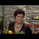 Aranžování květin a jejich výsadba - video