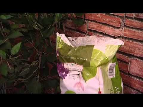 Balkónové květiny - video