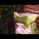 Balkónové květiny - video