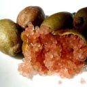 Citronový kaviár - citrus vhodný k pěstování i v našich klimatických podmínkách