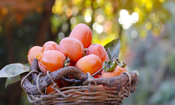 hurmikaki, ovoce, vitaminy, zahrádka