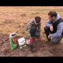 Pečujte o jahody i po zimě - video