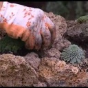 Vybudujte si mini skalku v nádobě - video