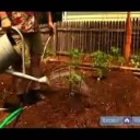 Správné zalévání zeleninového záhonu - video