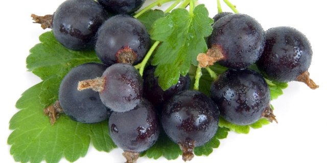 josta, zdraví, vitaminy, minerály