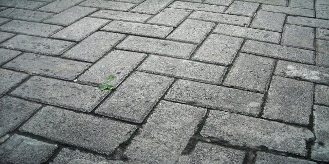 chodníky, stavebniny, dřevo, beton, zámková dlažba