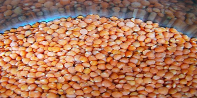 Čočka - potravina bohatá na bílkoviny, vitaminy, minerály a přitom nízkokalorická