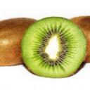 Zelená vitamínová bomba z Nového Zélandu - kiwi