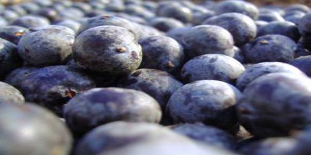 Acai - ovoce vonící dálkou a zdravím