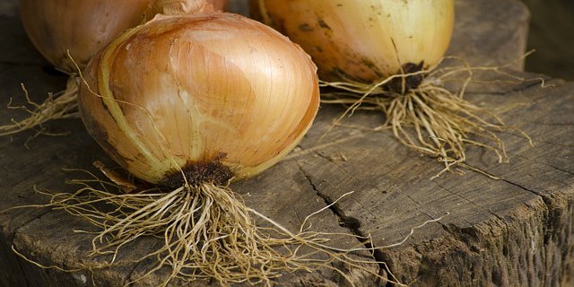 zdraví, nemoci, chřipka, přírodní medicína, cibule, bylinky