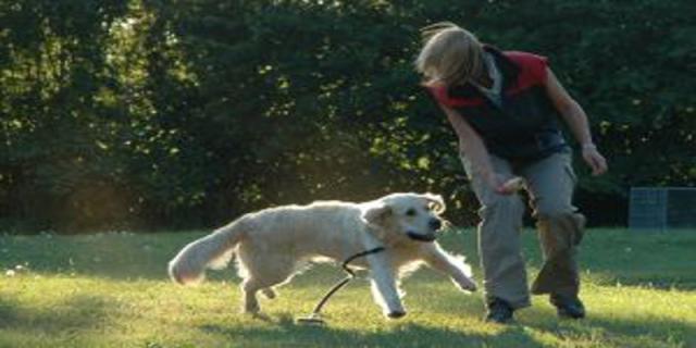 Agility - zdravý pohyb pro psa i pána