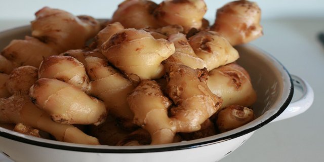 zdraví, vitaminy, zázvor, med, jablka